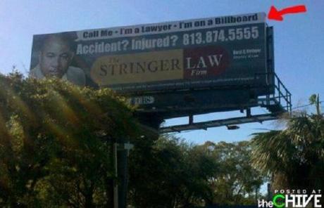 stupid lawyer