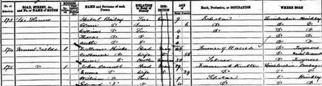 1871 census