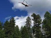 Nesting Eagles Harassed with Helicopter Logging
