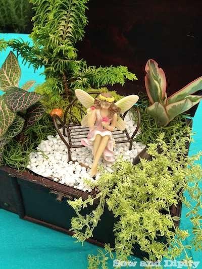 Fairy Garden in a wooden box