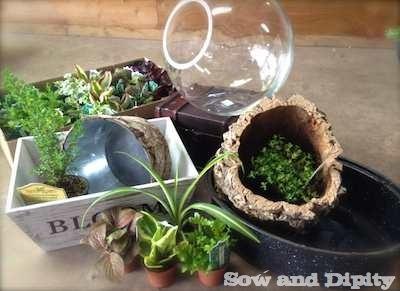 mini garden containers
