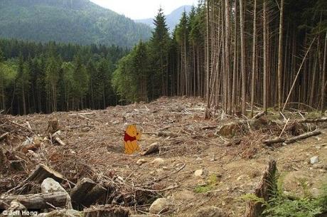 pooh bear