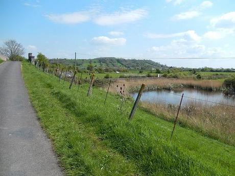 Brent Knoll and the Beach