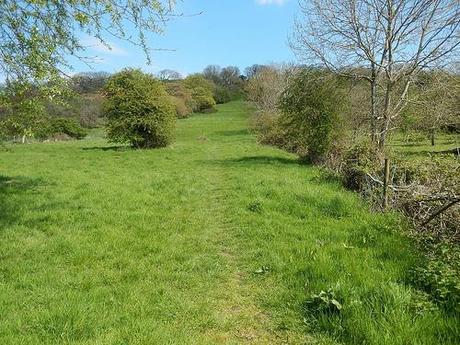 Brent Knoll and the Beach