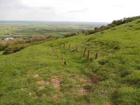 Brent Knoll and the Beach