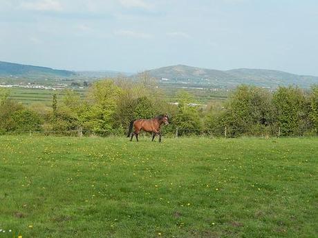 Brent Knoll and the Beach