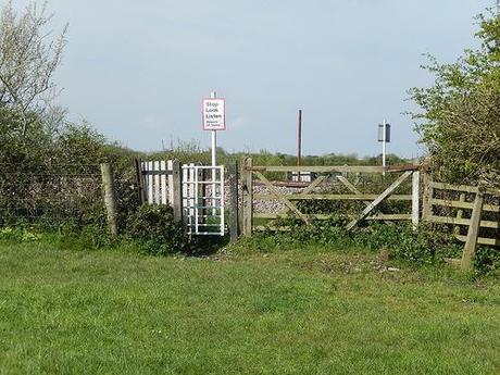 Brent Knoll and the Beach