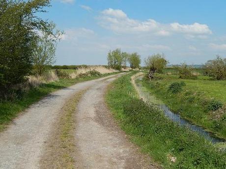 Brent Knoll and the Beach