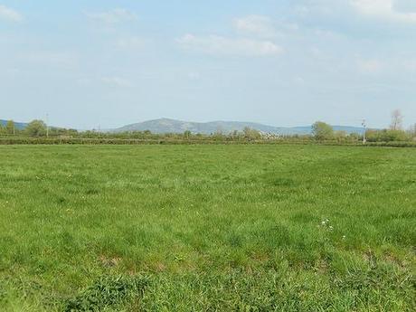 Brent Knoll and the Beach