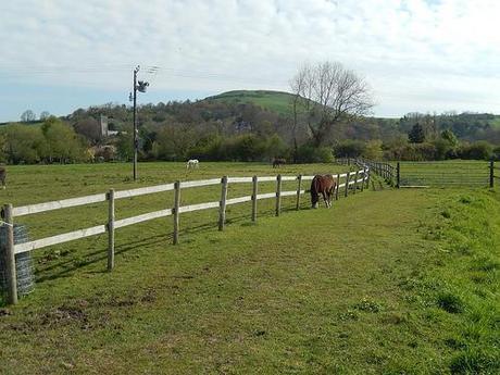 Brent Knoll and the Beach