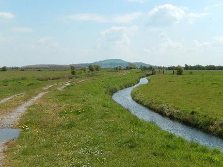 Brent Knoll and the Beach