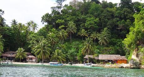 Elena's Travelgram: The most unique destination in Indonesia Togean Islands