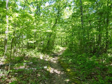 Day 37: A Pleasant Day