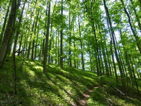 Day 37: A Pleasant Day