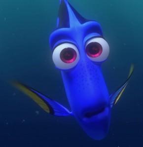 Dory