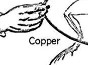 Person”–or Flesh”?