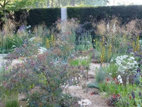 airy plants on Cleve Wests garden at Chelsea