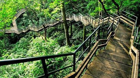 Thenmala Deer Rehabilitation Centre, One of the Prime Attractions of the Place