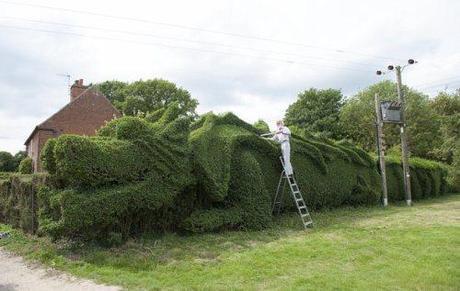 dragon hedge2