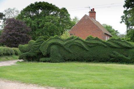 dragon hedge4