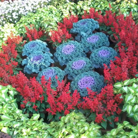 My Week in Instagram Photos! Vol.2