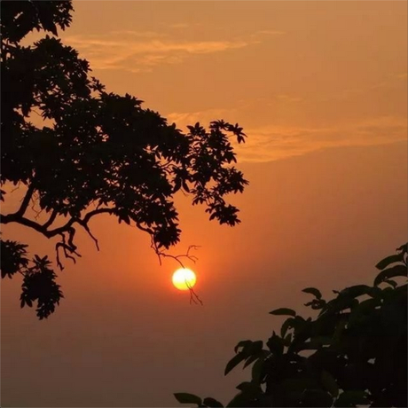 My Week in Instagram Photos! Vol.2