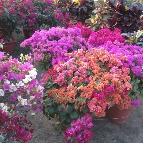 My Week in Instagram Photos! Vol.2