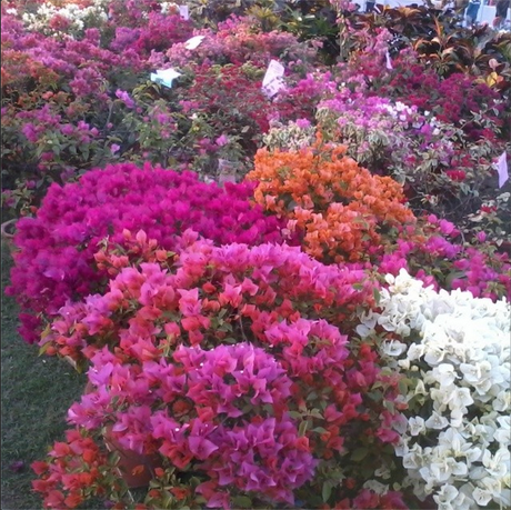 My Week in Instagram Photos! Vol.2