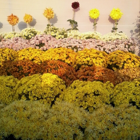 My Week in Instagram Photos! Vol.2