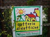 Italy with Kids Visit Fattoria Didattica “Teaching Farm”