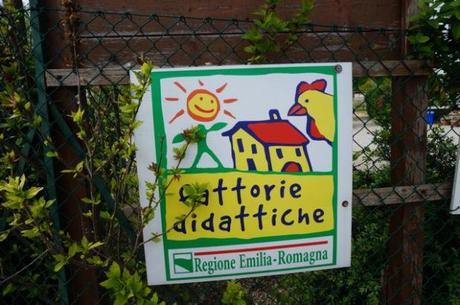 fattoria didattica, fattoria didattiche,#fattoriadidattica,#fattoriedidattiche,teaching farms, teaching farms in italy, where to bring the kids in italy, what to do with kids in Italy, where to go in Modena, what to do in modena, what to do in bologna, what to do in parma, where to go in Bologna, where to go in parma, what to do with kids in Modena, where to go with kids in modena, where to go with children in modena, where to go with kids in bologna, where to go with children in bologna, lunch at an agriturismo,#agriturismo, what is an agriturismo, what is a fattoria didattica, restaurants in italy with kids, visit italy with kids, visit modena with kids, visit parma with kids, visit bologna with kids, real mom style, expat mom, #expat,#travel, #expatmom, realmomstyle, #realmomstyle, mom trends, trends for moms, pics in italy, visit a farm in italy, visit a farm in modena, living in italy, life in italy, being a mom in italy