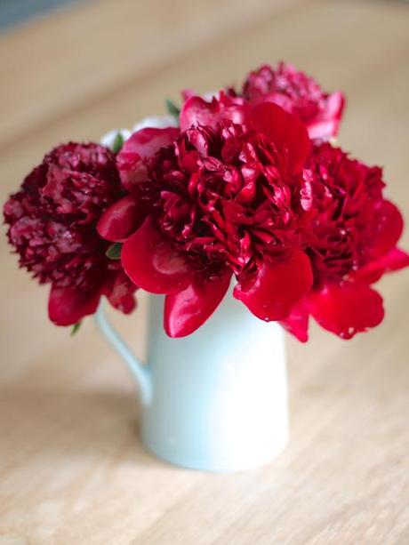 Peony Red Charm