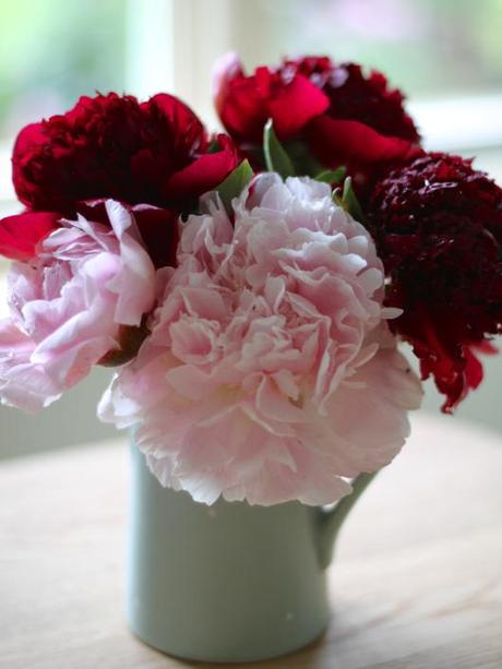 Peony Posy