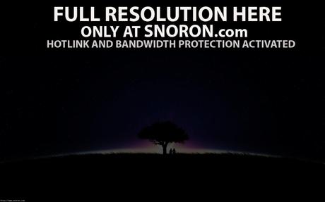 Tree on Hill in the Night wallpaper