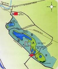 Lake Preola a hidden treasure to protect, enhance and promote.