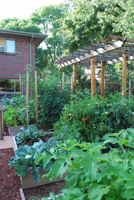 Vegetable Garden