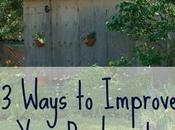 Ways Improve Your Backyard