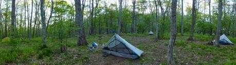 Day 39: A Fitting Survivor Day Day 39: A Fitting Survivor Day