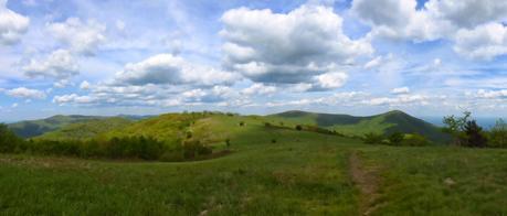 Day 39: A Fitting Survivor Day Day 39: A Fitting Survivor Day