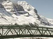 Athabasca Glacier Melting ‘Astonishing’ Rate More Than Five Metres Year
