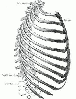 Cultivating Healthy Posture with a Simple Restorative Pose (Rerun)