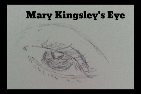 Sketch of an eye