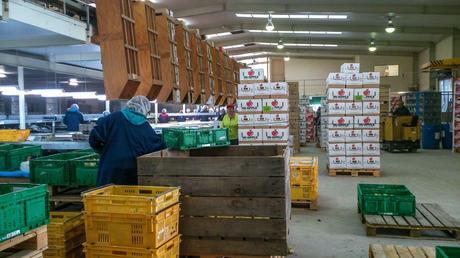 Working and Living in Motueka