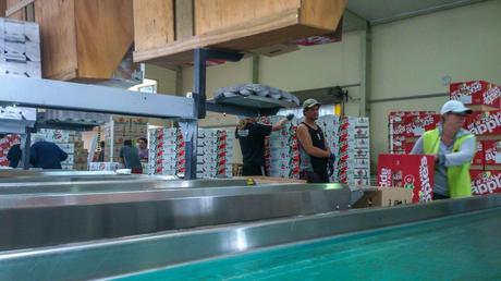 Working and Living in Motueka