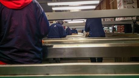 Working and Living in Motueka