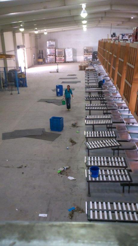 Working and Living in Motueka