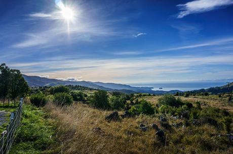 Working and Living in Motueka