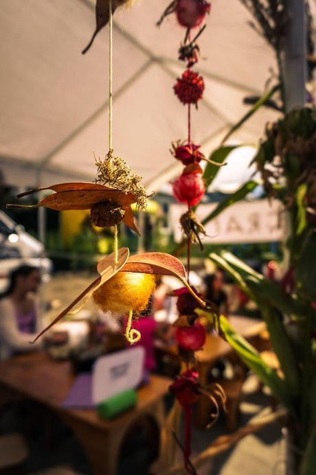 Working and Living in Motueka