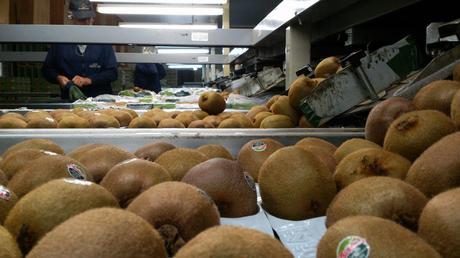 Working and Living in Motueka