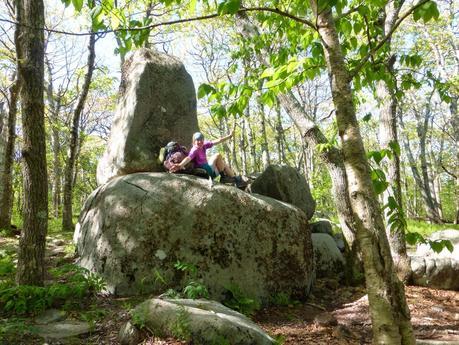 Day 40: Hikin' Thru It Day 40: Hikin' Thru It